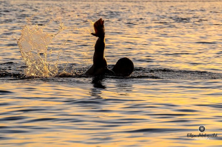 Nageur dans un lac, symbolisant la motivation.